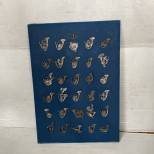Chasseur Présentoir de 31 Insignes de Bataillon