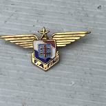 Force Aérienne Francaise Libre Insigne émaillé 