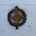 SA  Badge Sport Classe Bronze 