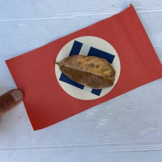 Antiquité militaire