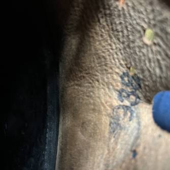 Antiquité militaire