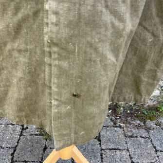 Antiquité militaire