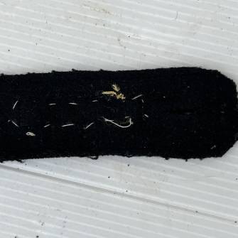 Antiquité militaire