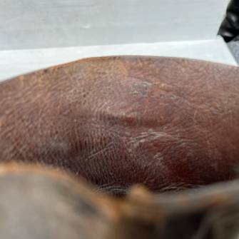 Antiquité militaire