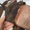 Brelage Mdle 1916 cuir marron 