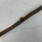 Bretelles de suspension Mdle 1892/15 cuir marron 