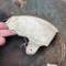 Casque ' Stahlhelm' Mdle 1917 peinture feldgrau 