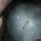 Casque Adrian Mdle 1915 Génie 