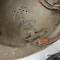 Casque Adrian Mdle 1926 Service de l'intendance 