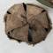 Casque Adrian Mdle 1926 Troupe d'Afrique 
