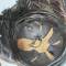 Casque de vol Airaile 11 cuir marron 