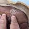 Casque Mdle 1935 1er type Tankiste  Pastille Mdle 1919 