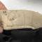 Casque Mdle 1935 2éme type Tankiste Insigne Mdle 1919 