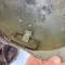 Casque Mdle 1935 2éme type Tankiste Pastille Mdle 1937 