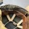 Casque Parachutiste MKII jugulaire toile , filet et toiles de jute 