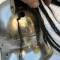 Casque troupe Mdle 1874 Cuirassier 