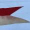 Cavalerie Fanion de  Lance de dragons 