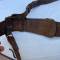 Ceinturon Baudrier officier et bélière sabre cuir marron 
