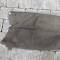 Culotte Golf Troupe Mdle 1938 Drap kaki 