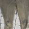Culotte troupe montée Mdle 1933 Drap kaki 