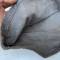 Dragons Couvre casque Mdle 1874 en coton gris bleu 
