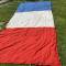 Drapeau tricolore en Laine imprimée 