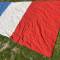 Drapeau tricolore en Laine imprimée 