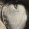 Heer casquette Mdle 1943 Officier drap feldgrau 