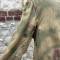 Heer Parka Matelassée Mdle 1944 camouflage Flou / Blanc 