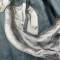 Heer Veste Troupe Mdle 1943 Treillis vert Panzer grenadier 
