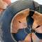 Luftschutz Casque Mdle 1938 ' Gladiateur' 