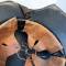 Luftschutz Casque Mdle 1938 ' Gladiateur' 