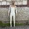 Mannequin homme PINTUS 