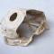 Masque de protection Cagoule en coton blanc 