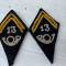 Pattes  de col officier 13éme  Bataillon Chasseur Alpin 
