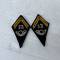 Pattes  de col officier 13éme  Bataillon Chasseur Alpin 