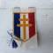 Résistance FFI Insigne de manche Ecu Tricolore et croix lorraine 