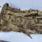 Sac à dos Mdle 1943 Camouflé sangles et bretelles toile 