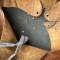 Tankiste Casque Mdle 1919 Peinture bleu 