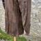 Tankiste Veston Mdle 1935 Cuir marron 