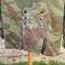 Tenue de saut camouflée TAP 47/53 et casquette 