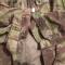 Tenue de saut camouflée TAP Mdle 1947/52 