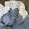Veste Mdle 1916 et culotte officier d Infanterie gabardine bleu horizon 