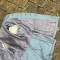 Veste Mdle 1916 et culotte officier d Infanterie gabardine bleu horizon 