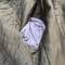 Veste Mdle 1916 Officier Etat Major Troupe Afrique gabardine moutarde 