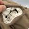 Veste troupe Mdle 1921/35 artilleur drap kaki 