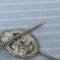 WH Boutonnière Badge assaut Panzer classe argent 