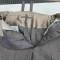 WH Culotte officier gabardine gris pierre ' Stein Grau' 