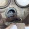 WH Masque de protection Mdle 1938 Tropical Jaune sable avec sangles 