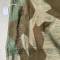 WH Toile de tente individuelle Mdle 1931 
